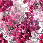 Colour:C