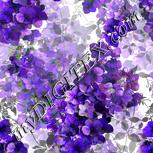 Colour:D
