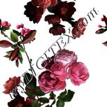 Colour:A