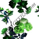 Colour:C