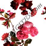 Colour:J