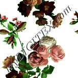 Colour:K
