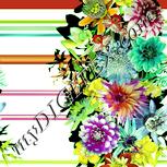 Colour:K