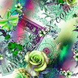 Colour:C