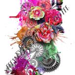 Colour:B