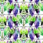 Colour:D