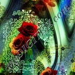Colour:K