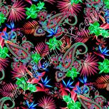 Colour:F