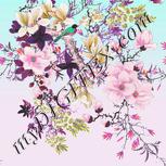 Colour:B