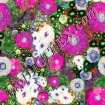 Colour:B