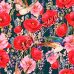 Colour:J
