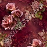 Colour:A