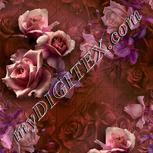 Colour:B