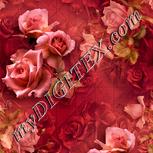 Colour:J