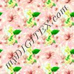 Colour:K