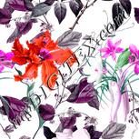 Colour:B