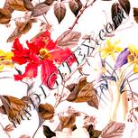 Colour:J