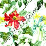 Colour:K