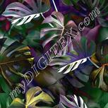 Colour:A