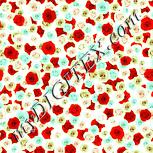 Colour:K