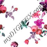 Colour:B