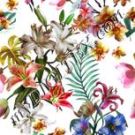 Colour:A