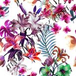 Colour:B