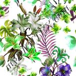 Colour:D