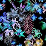 Colour:F