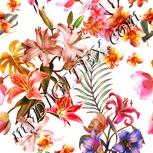 Colour:J