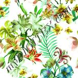 Colour:K