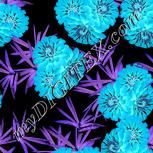 Colour:F