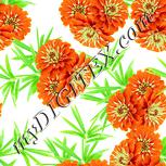 Colour:K