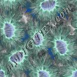 Colour:F