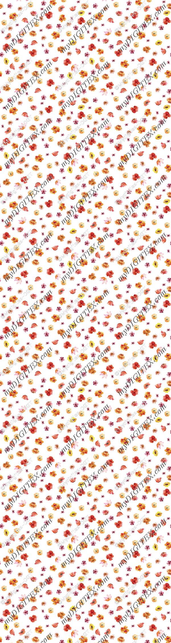 Bam-0032 IND