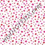Colour:B