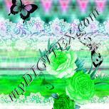 Colour:C