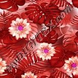 Colour:B