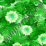 Colour:C