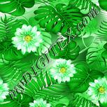 Colour:D
