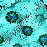 Colour:F