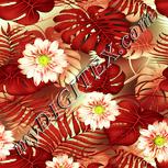 Colour:K