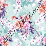 Colour:B
