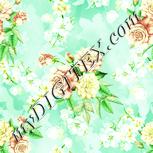 Colour:K