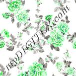 Colour:C