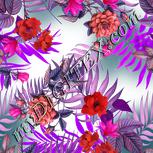 Colour:B