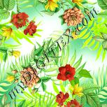 Colour:K