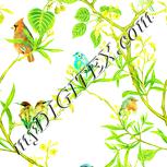 Colour:K