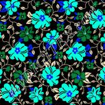 Colour:F