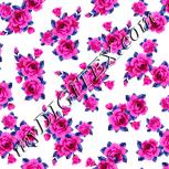 Colour:B